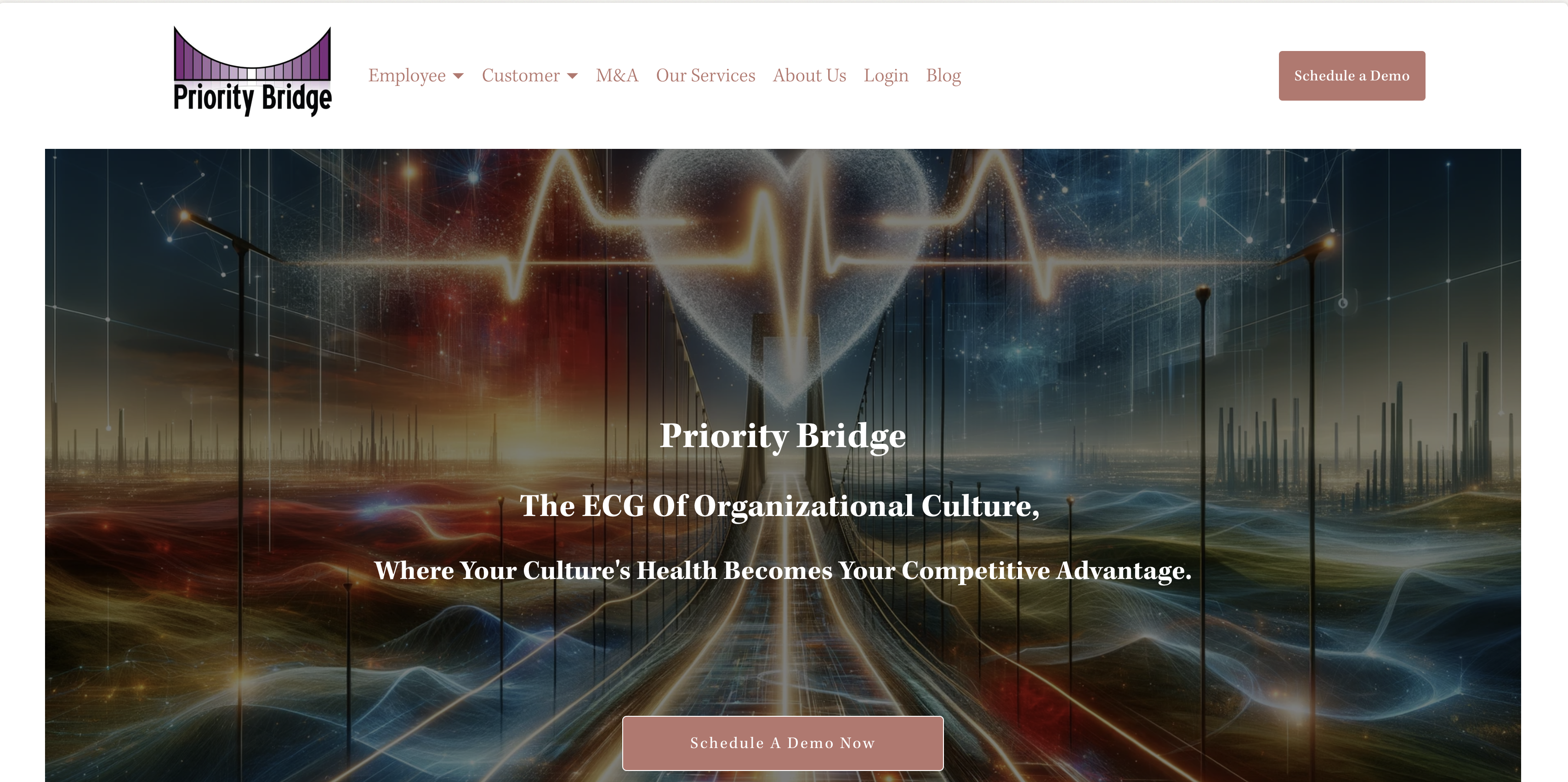 Priority Bridge landing page